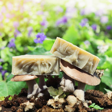 Load image into Gallery viewer, Sea Clay & Cordyceps